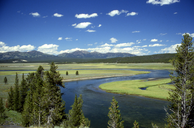 Yellowstone