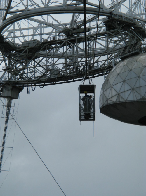 Joe Davis Arecibo radar dish