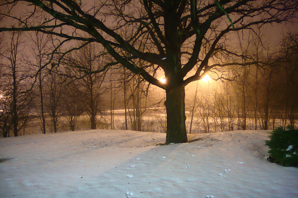 Rabbit tracks through snow on in southeastern Wisconsin, by Beige Alert (BeigePhotos), via Flickr.com