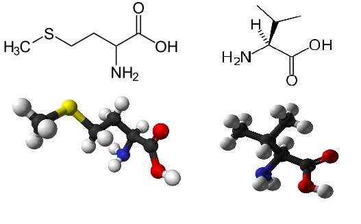 The Genetics Of Suicide