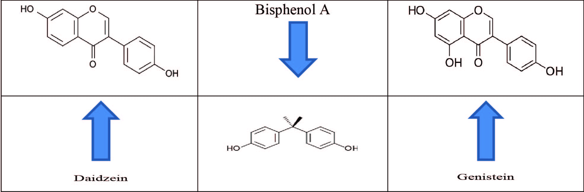 Mind The (Risk Perception) Gap On BPA