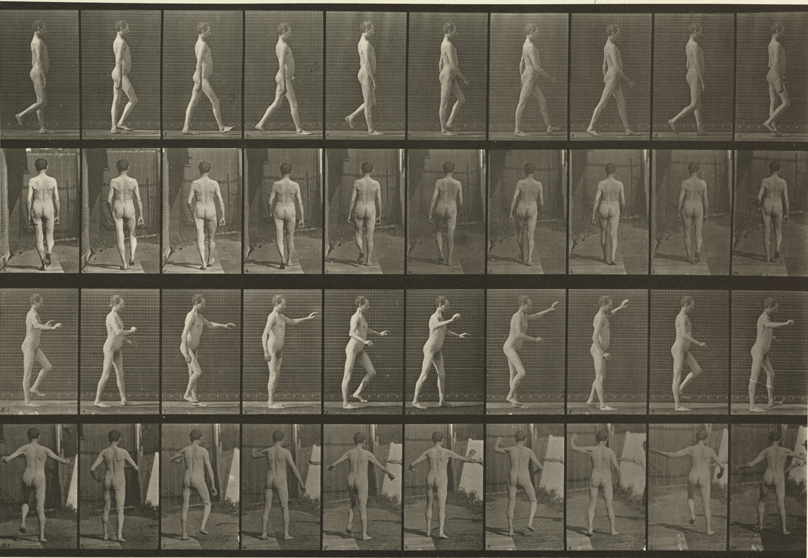 Ataxia movements