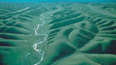 near Orland, California. Photo courtesy of J. Kirchner.