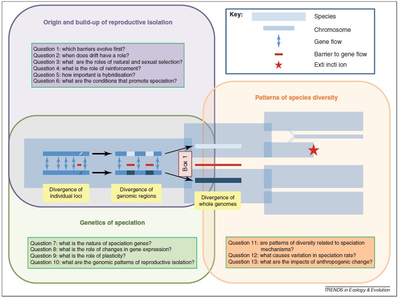 Questions About Speciation