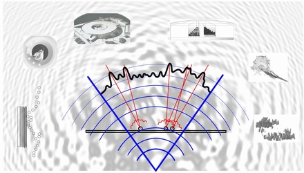 Risk Communication About EDCs