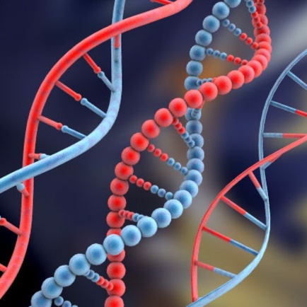 Whole genome sequencing of a family - predicting the future?